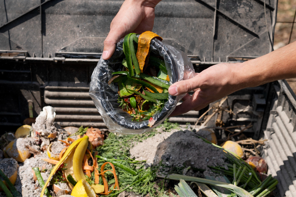 Composting Capitalism