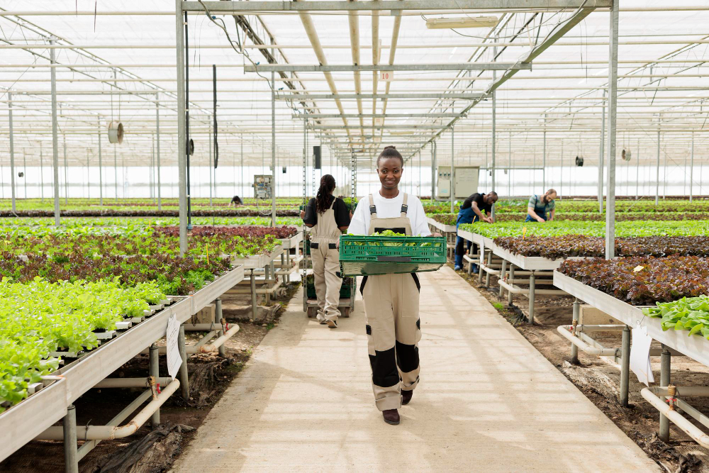 Climate-Smart Agriculture